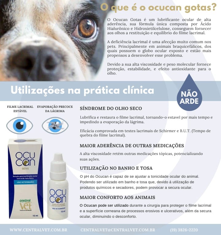 WhatsApp Image 2025-05-30 at 16.01.50.jpeg