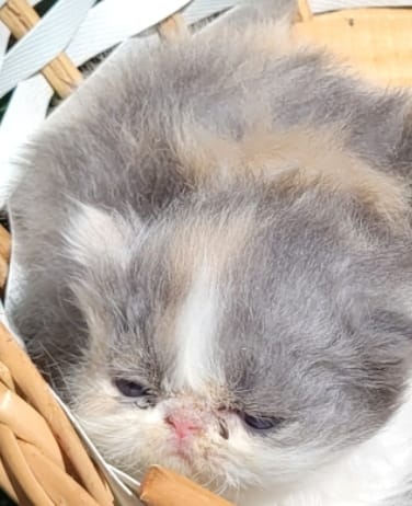 WhatsApp Image 2025-04-30 at 23.33.56 (2).jpeg