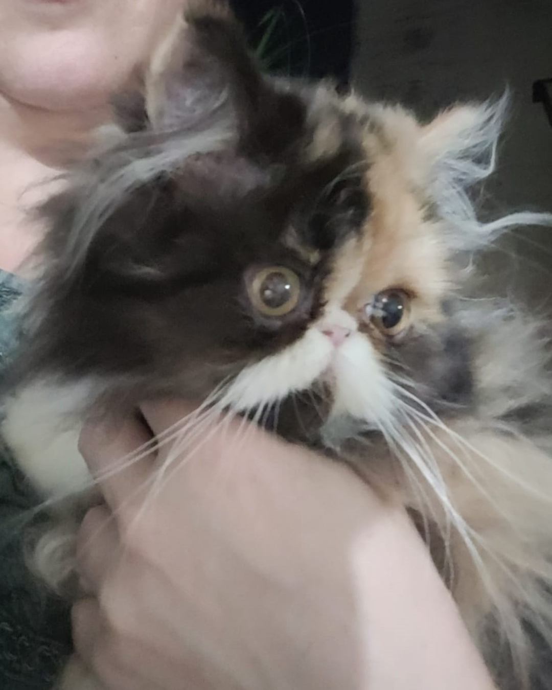 Design sem nome (4).png