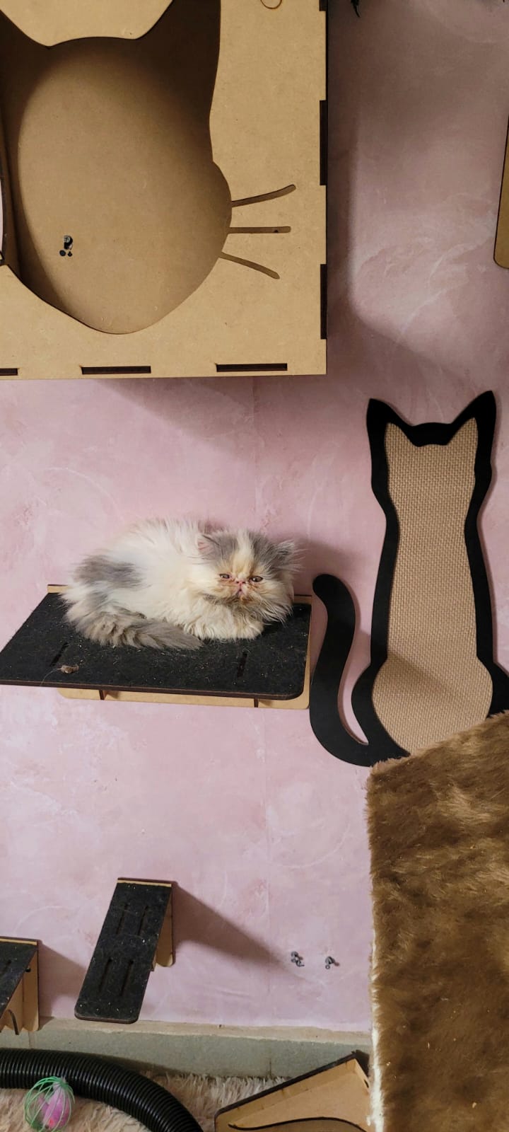 WhatsApp Image 2024-07-31 at 08.51.02 (1).jpeg